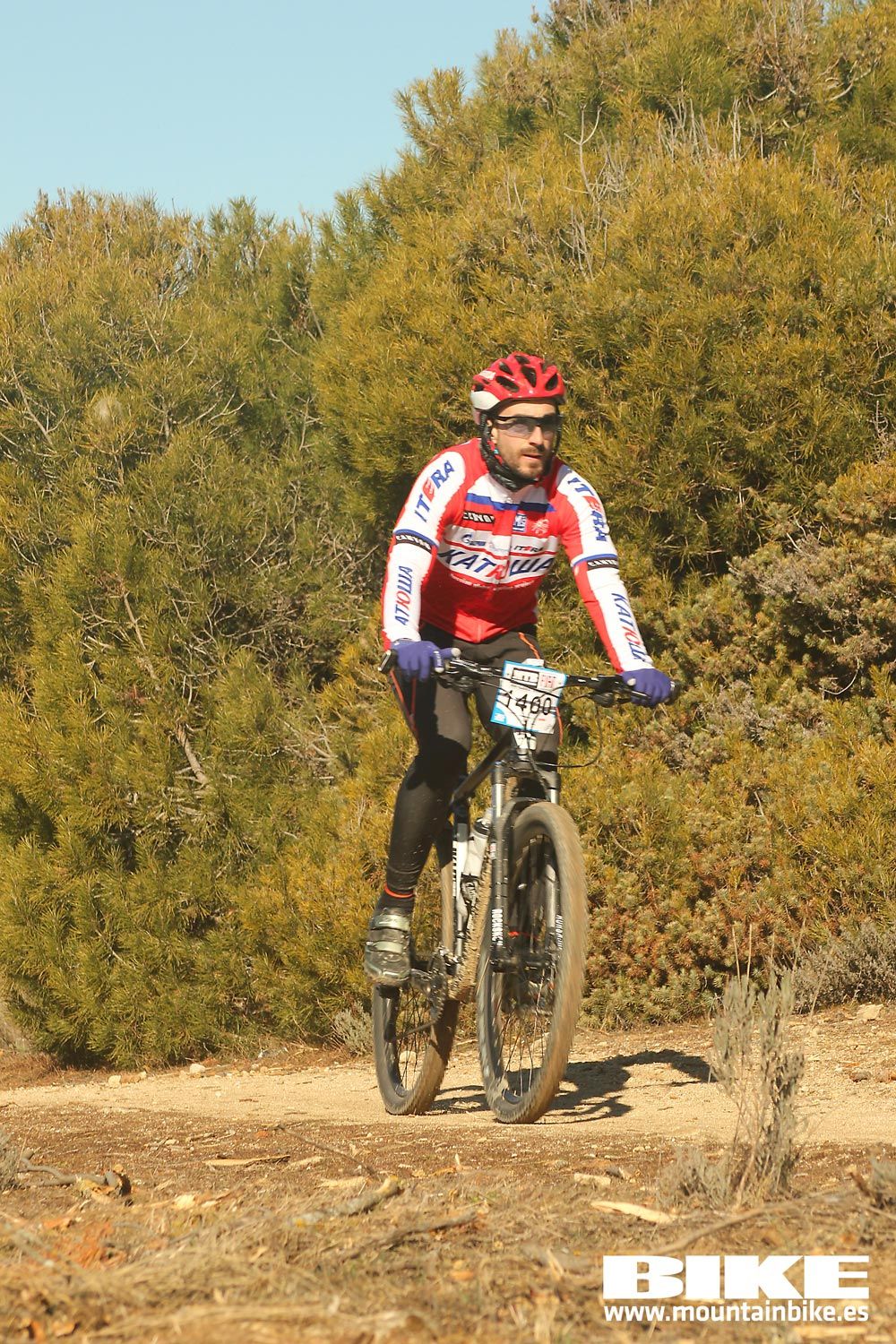 Valdemorillo 2015 Galeria 5