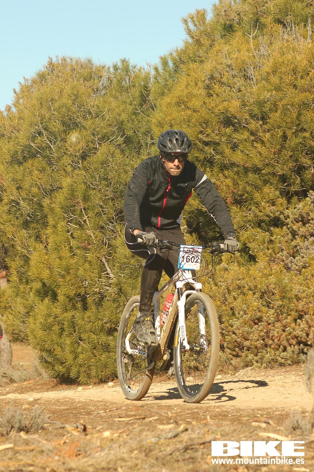 Valdemorillo 2015 Galeria 5