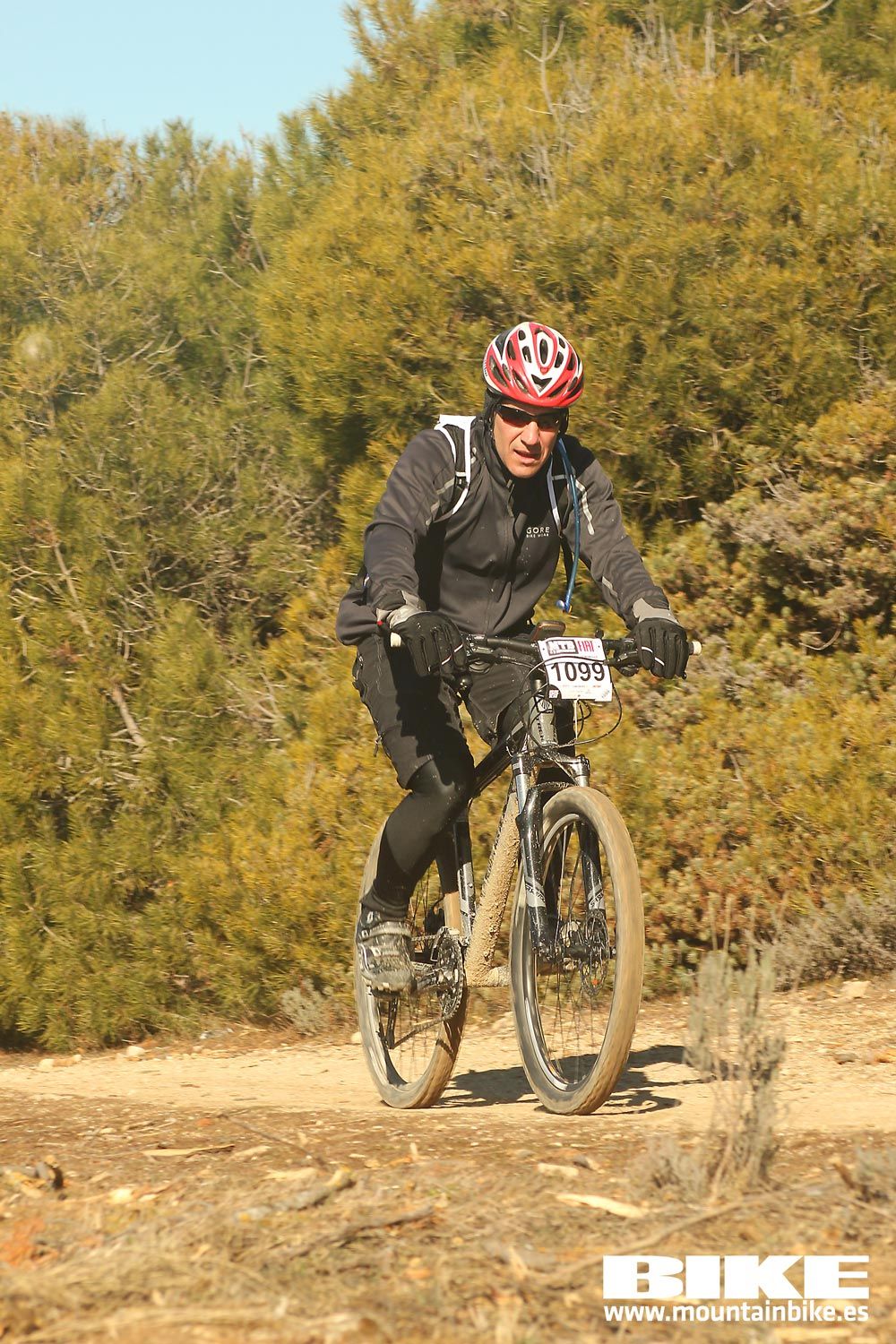 Valdemorillo 2015 Galeria 5