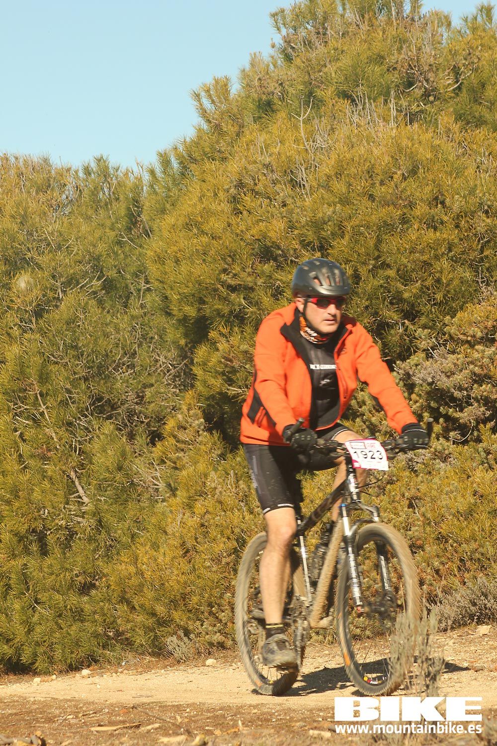Valdemorillo 2015 Galeria 5