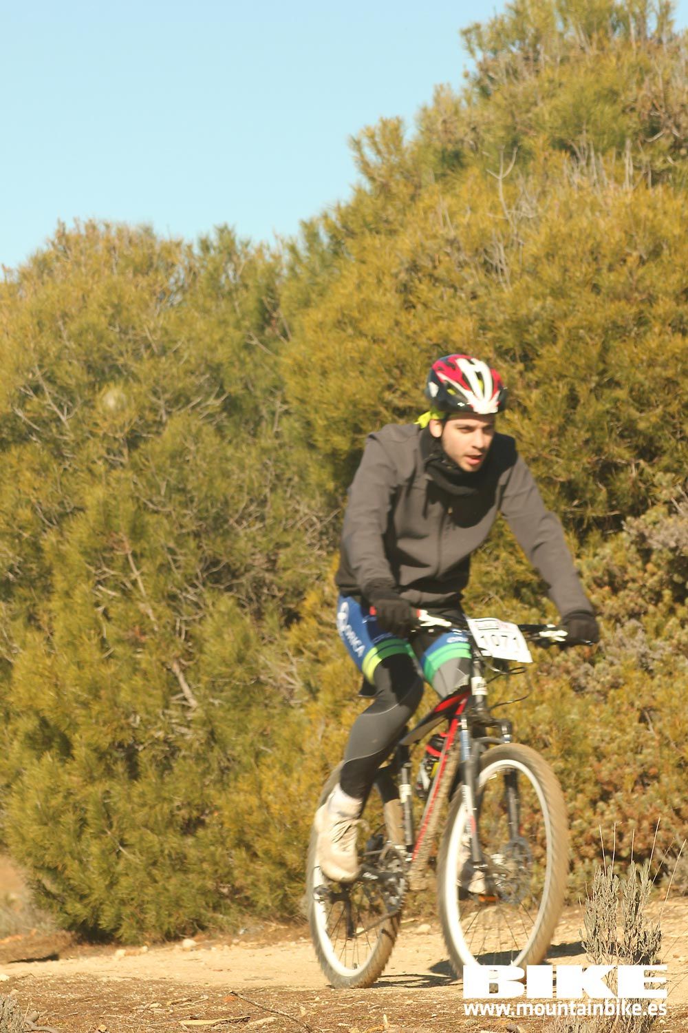 Valdemorillo 2015 Galeria 5