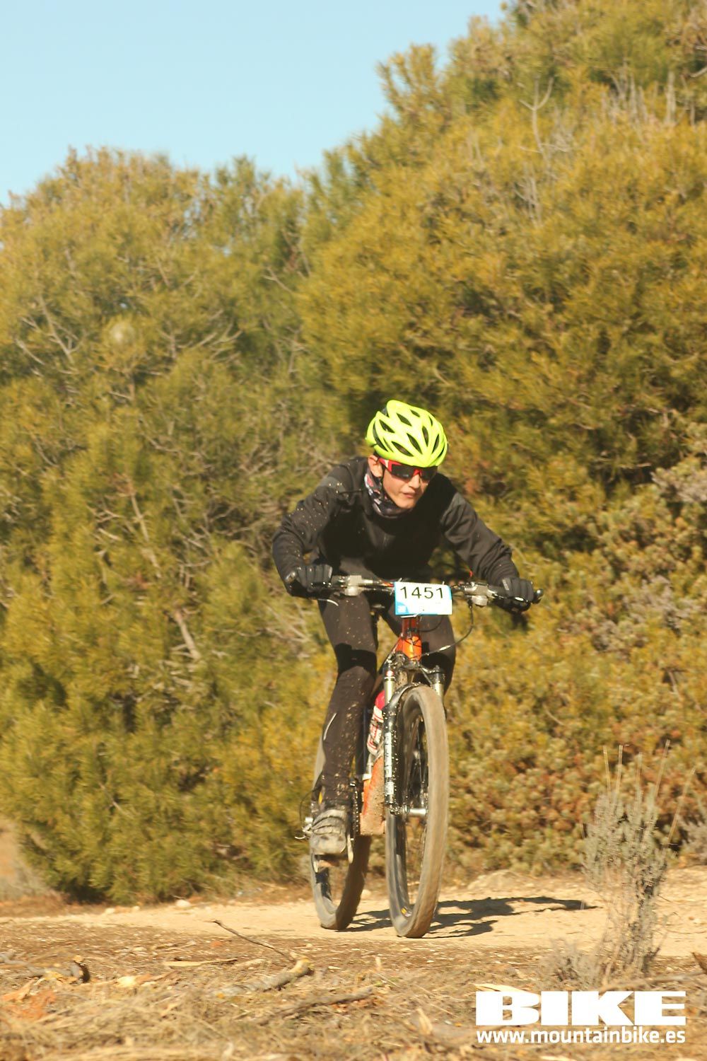 Valdemorillo 2015 Galeria 5