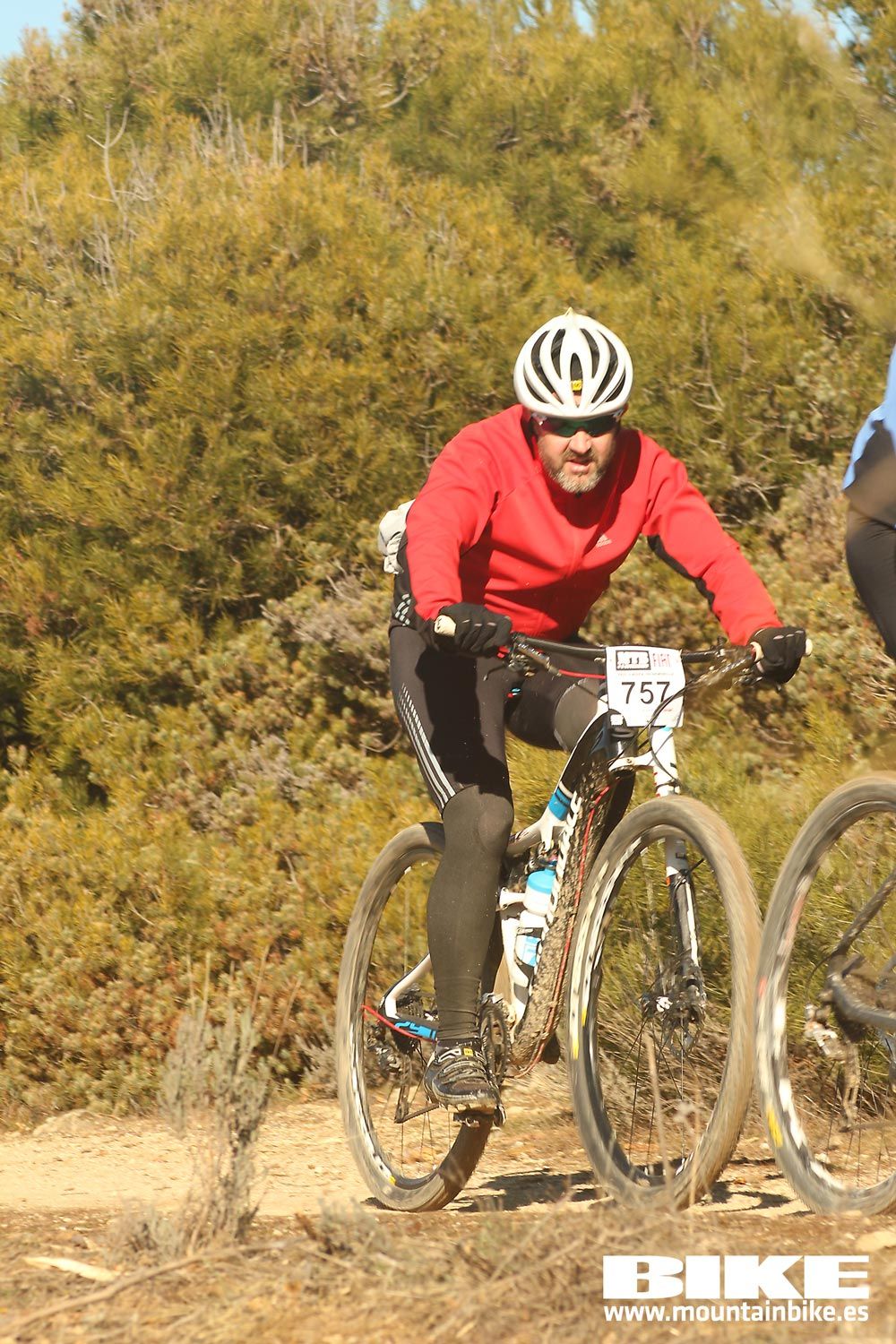 Valdemorillo 2015 Galeria 5