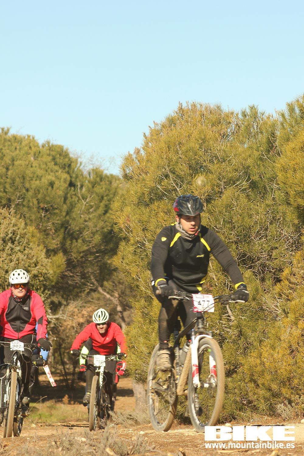 Valdemorillo 2015 Galeria 5