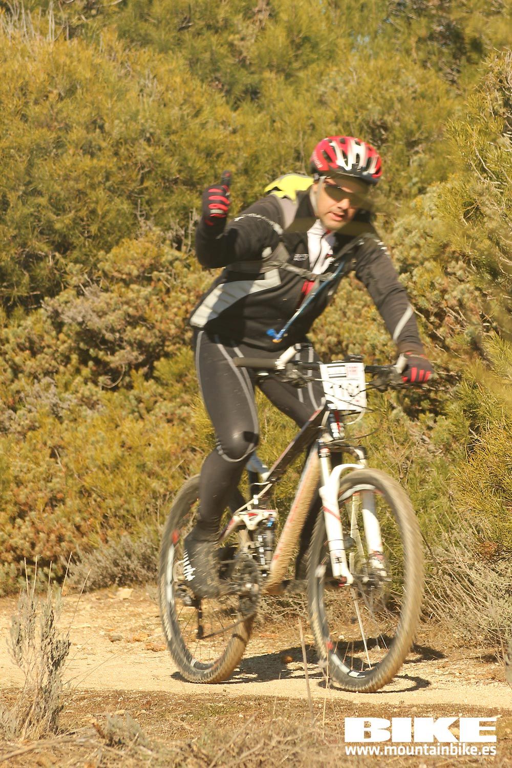 Valdemorillo 2015 Galeria 5