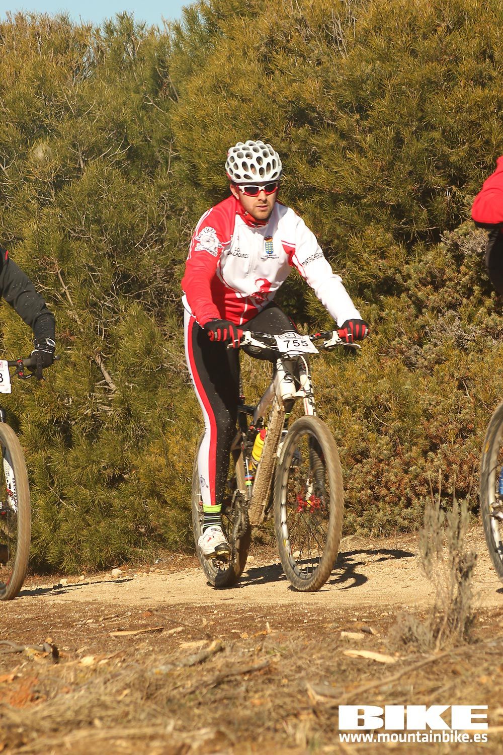 Valdemorillo 2015 Galeria 5