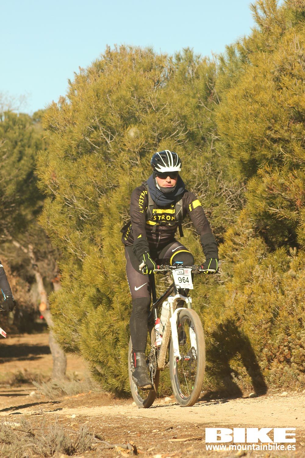 Valdemorillo 2015 Galeria 6