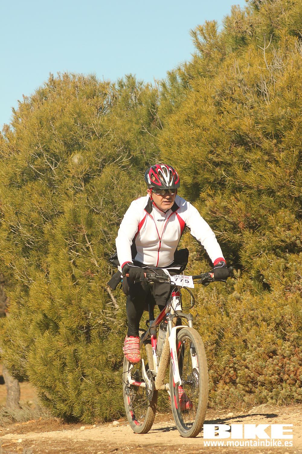 Valdemorillo 2015 Galeria 6