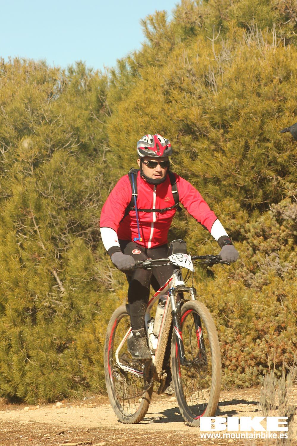 Valdemorillo 2015 Galeria 6