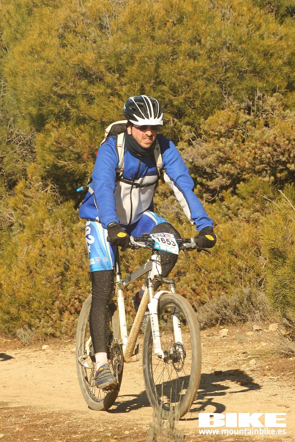 Valdemorillo 2015 Galeria 6