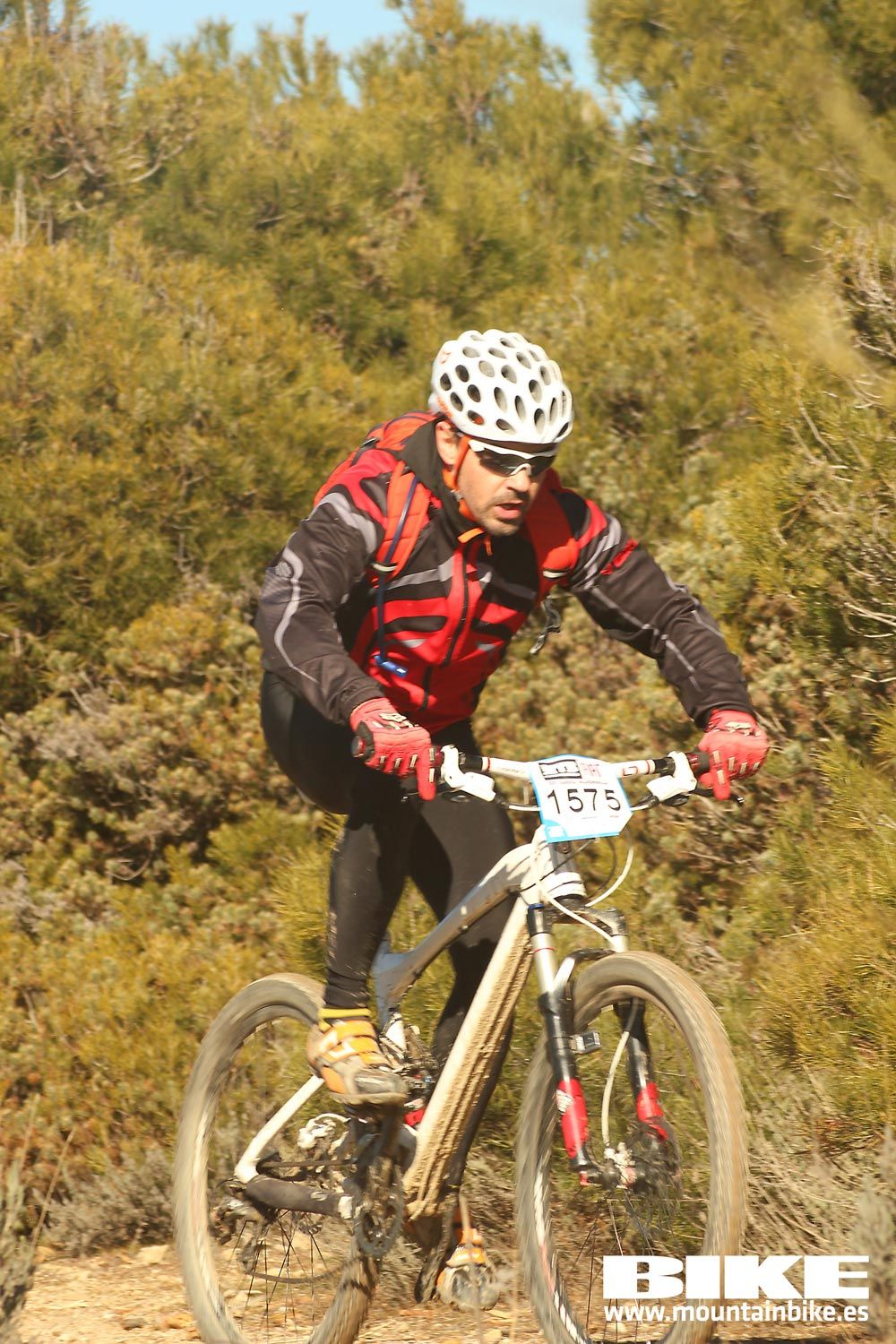 Valdemorillo 2015 Galeria 6