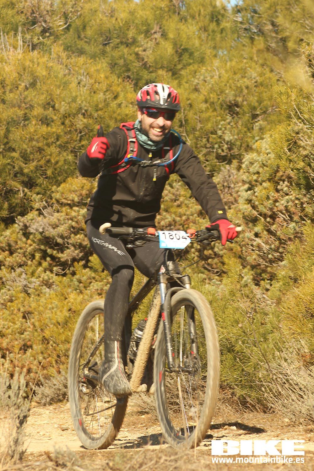 Valdemorillo 2015 Galeria 6