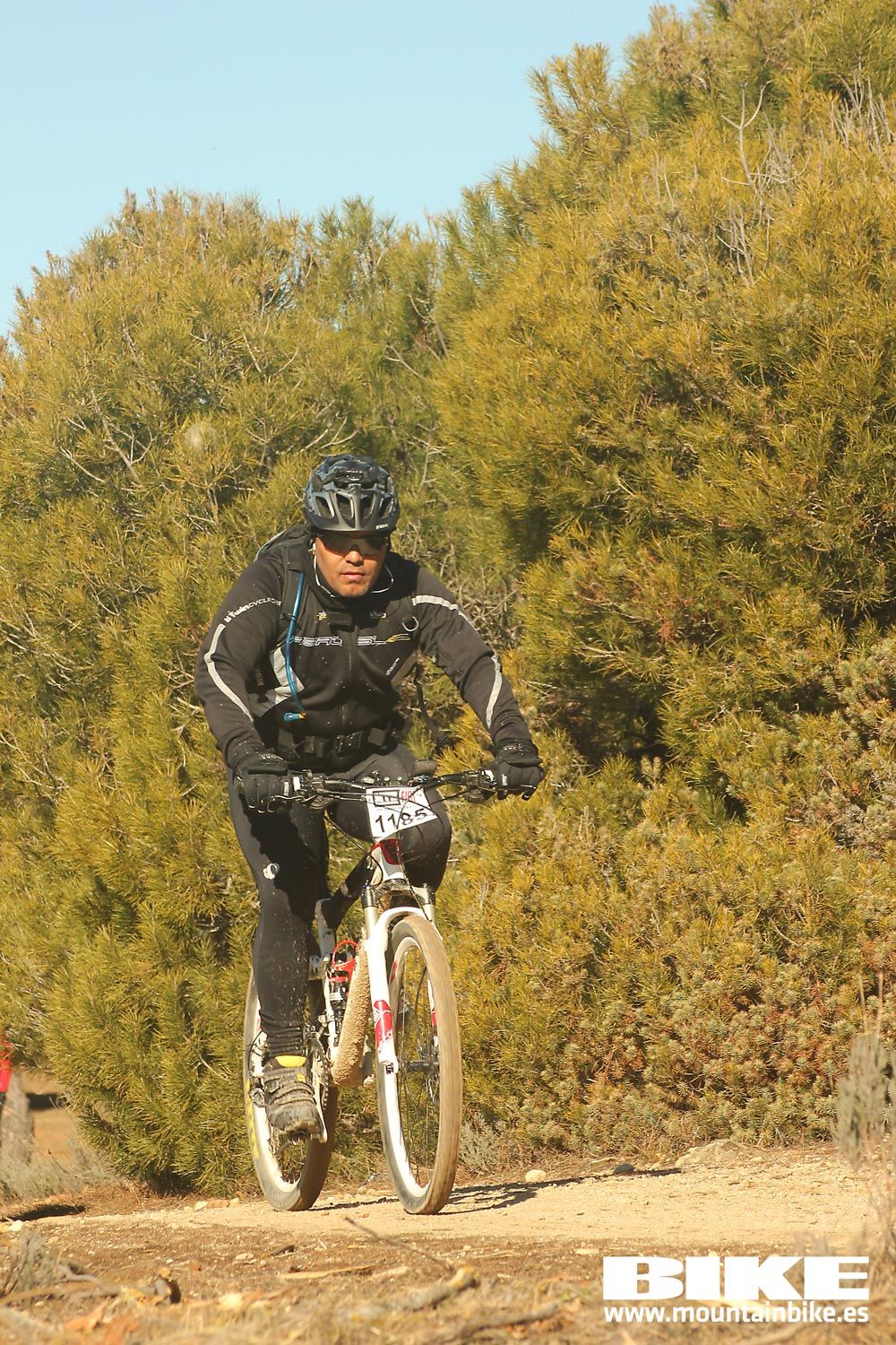 Valdemorillo 2015 Galeria 6