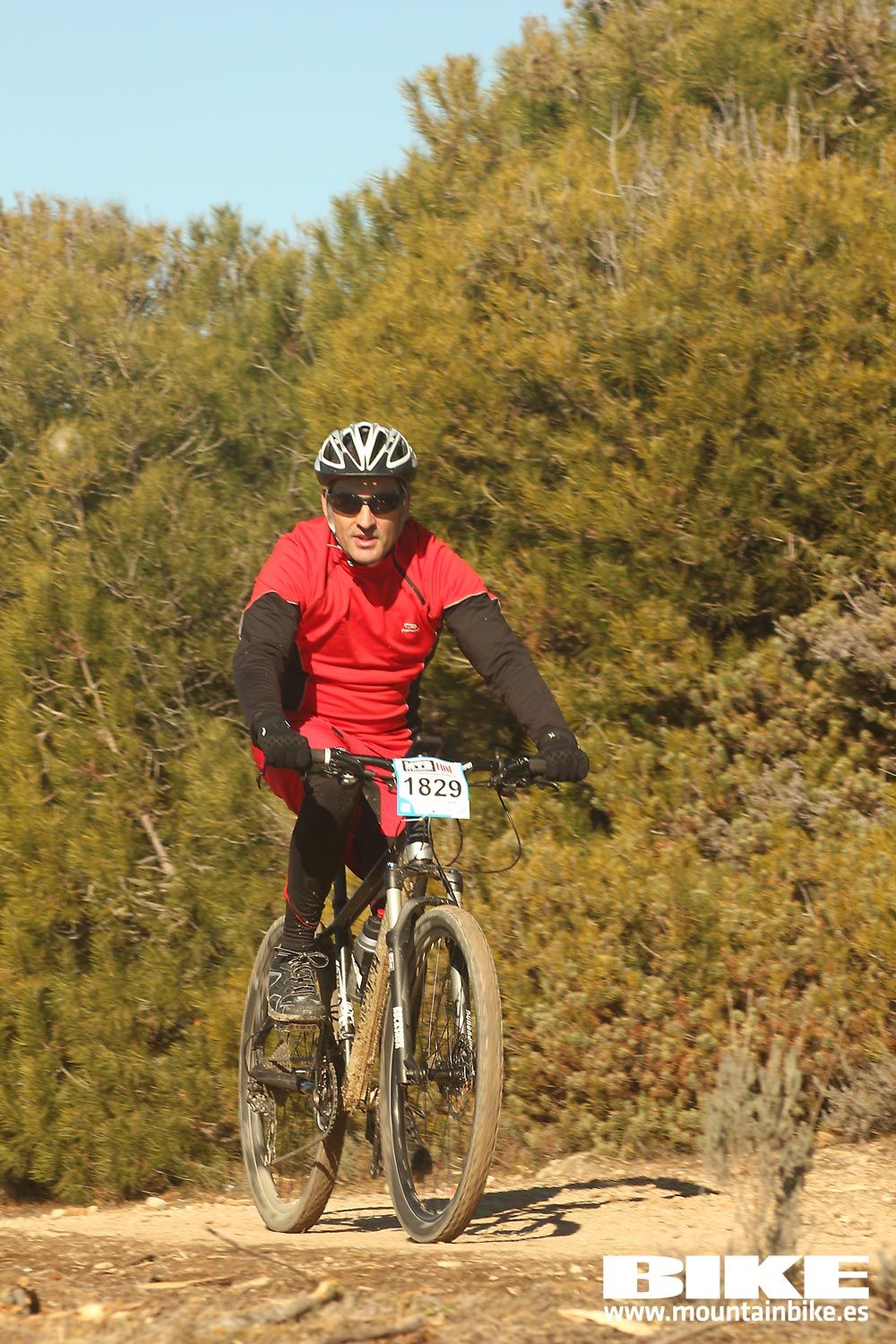 Valdemorillo 2015 Galeria 6