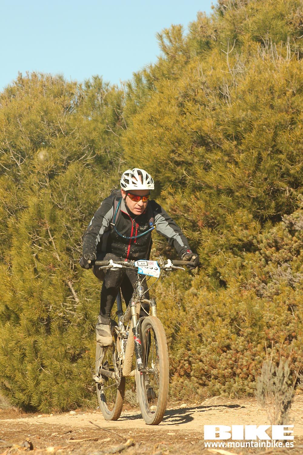 Valdemorillo 2015 Galeria 6