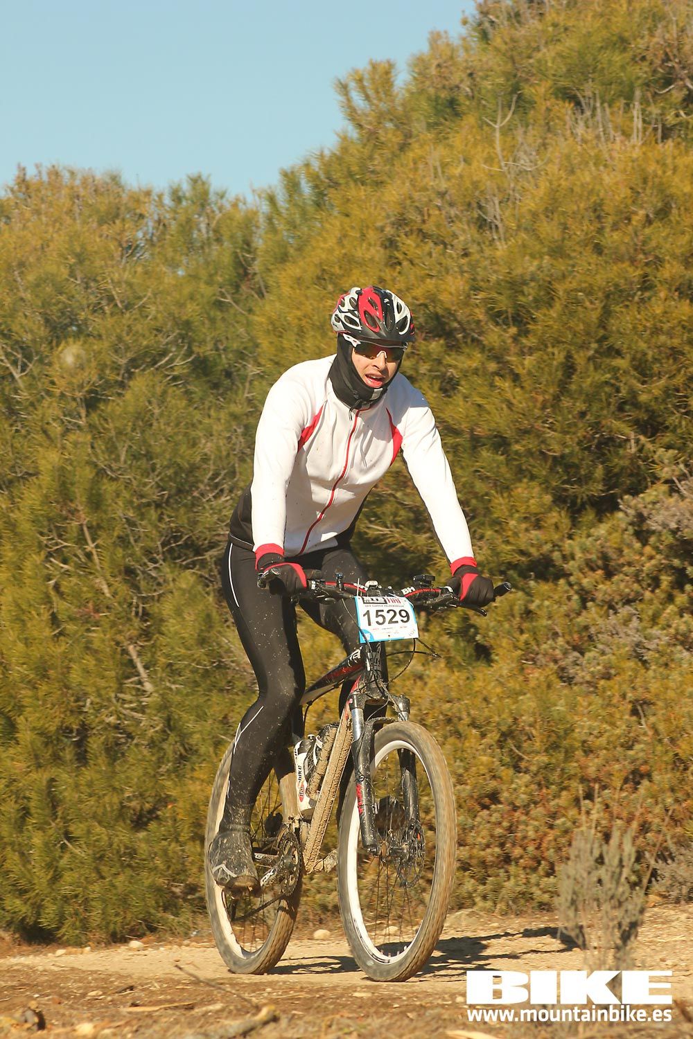 Valdemorillo 2015 Galeria 6