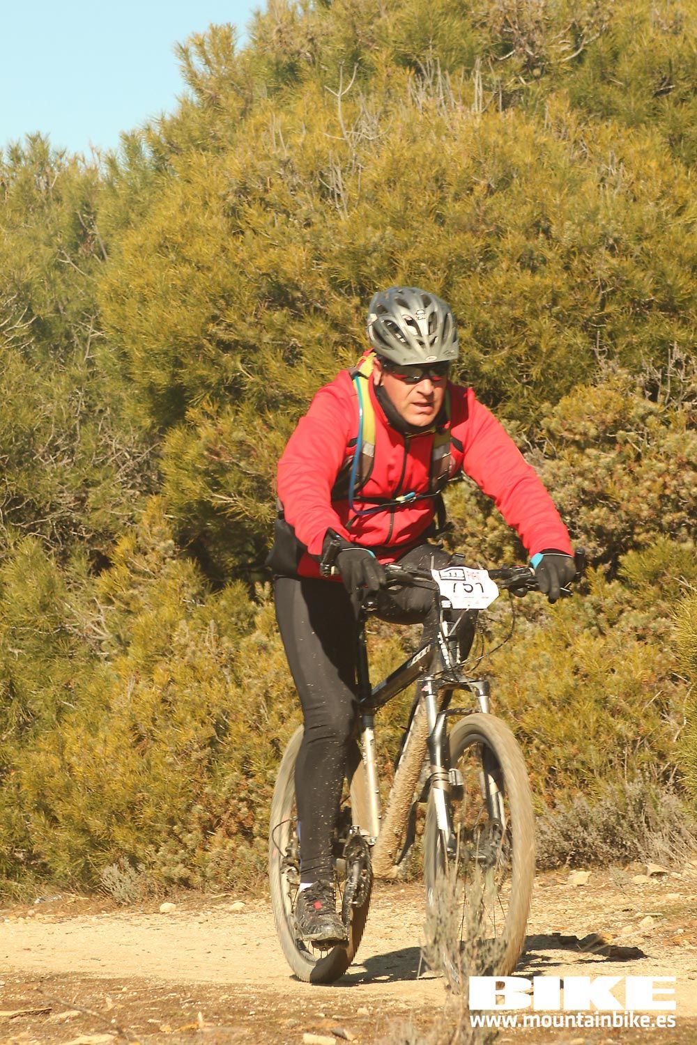 Valdemorillo 2015 Galeria 6