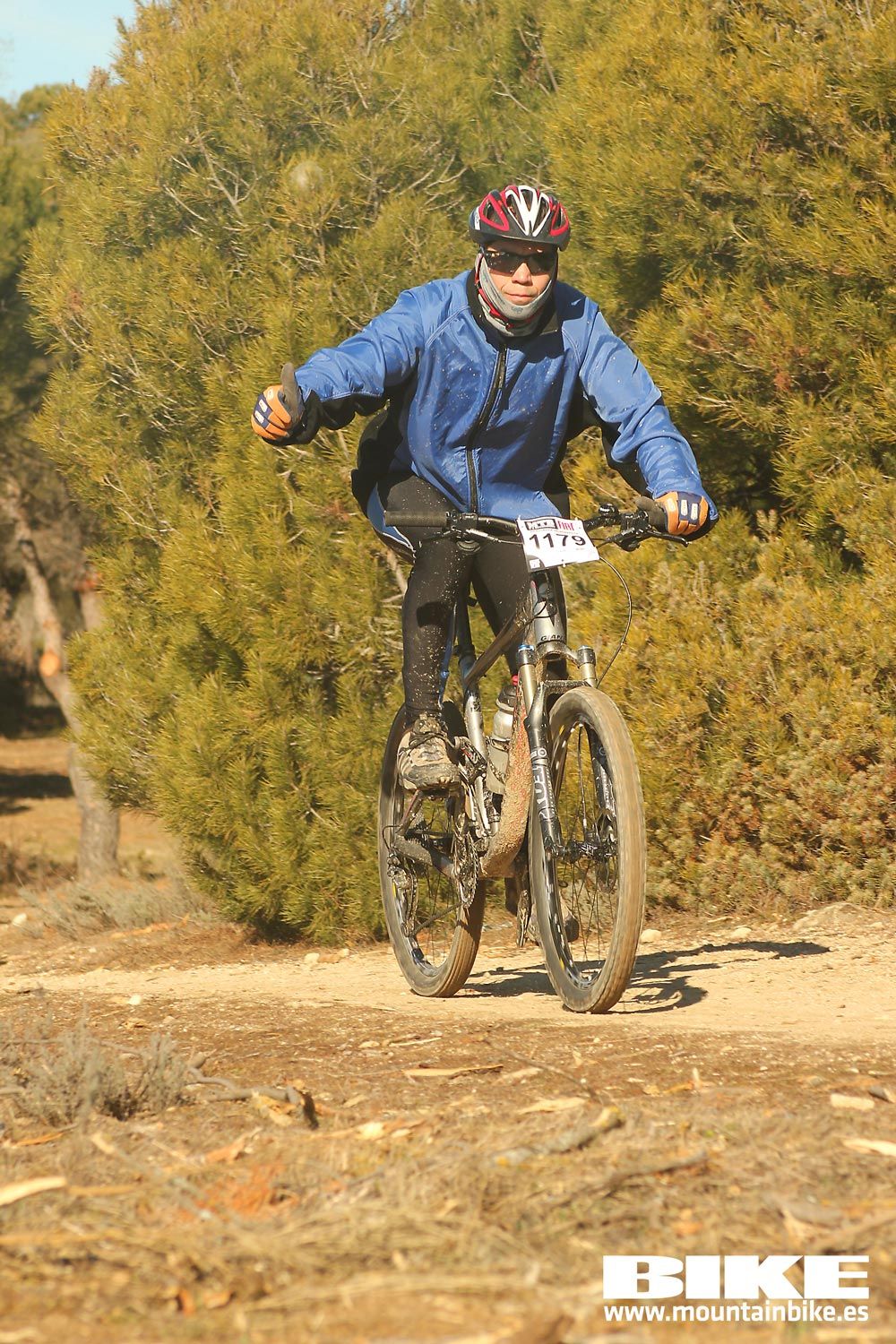 Valdemorillo 2015 Galeria 6