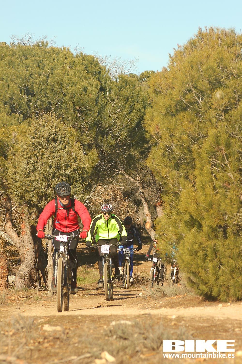 Valdemorillo 2015 Galeria 6