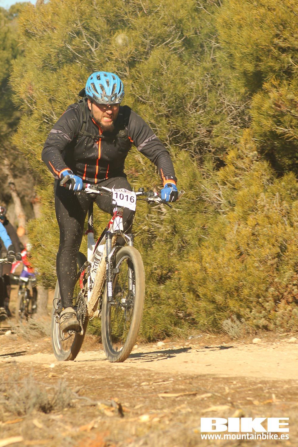 Valdemorillo 2015 Galeria 6