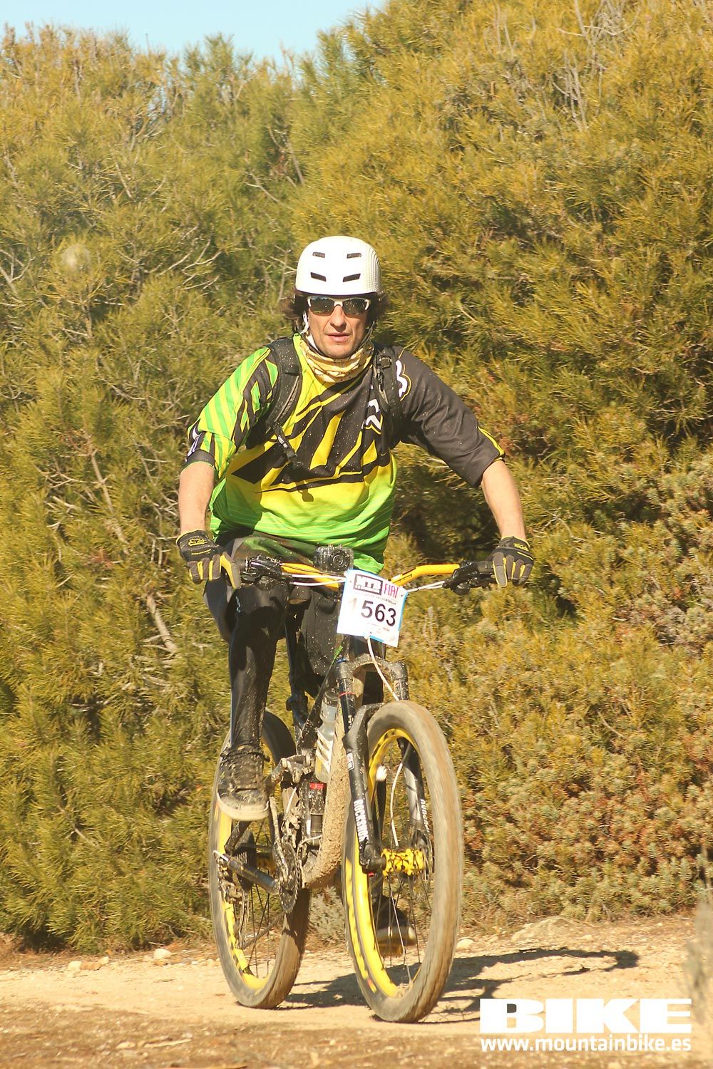 Valdemorillo 2015 Galeria 6
