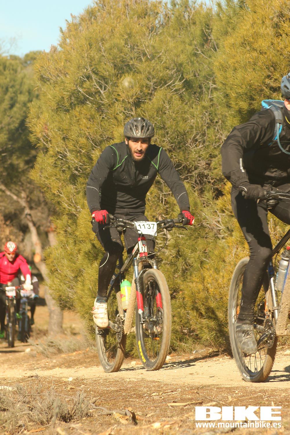 Valdemorillo 2015 Galeria 6