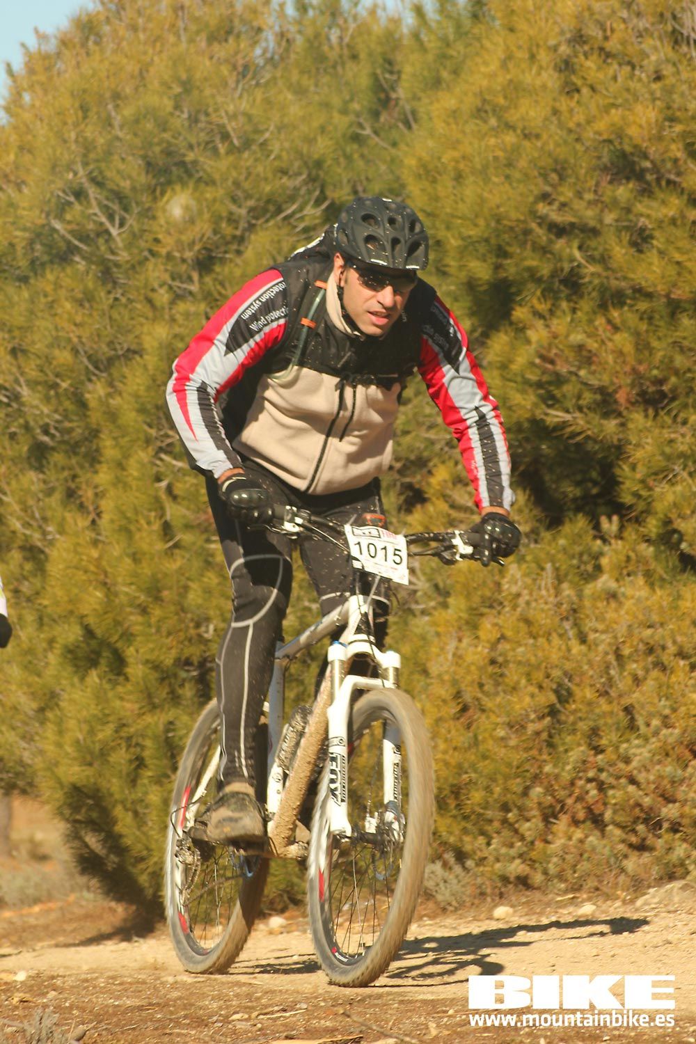 Valdemorillo 2015 Galeria 6