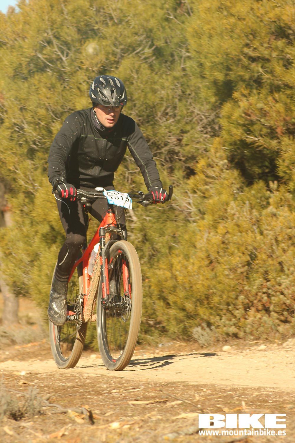 Valdemorillo 2015 Galeria 6