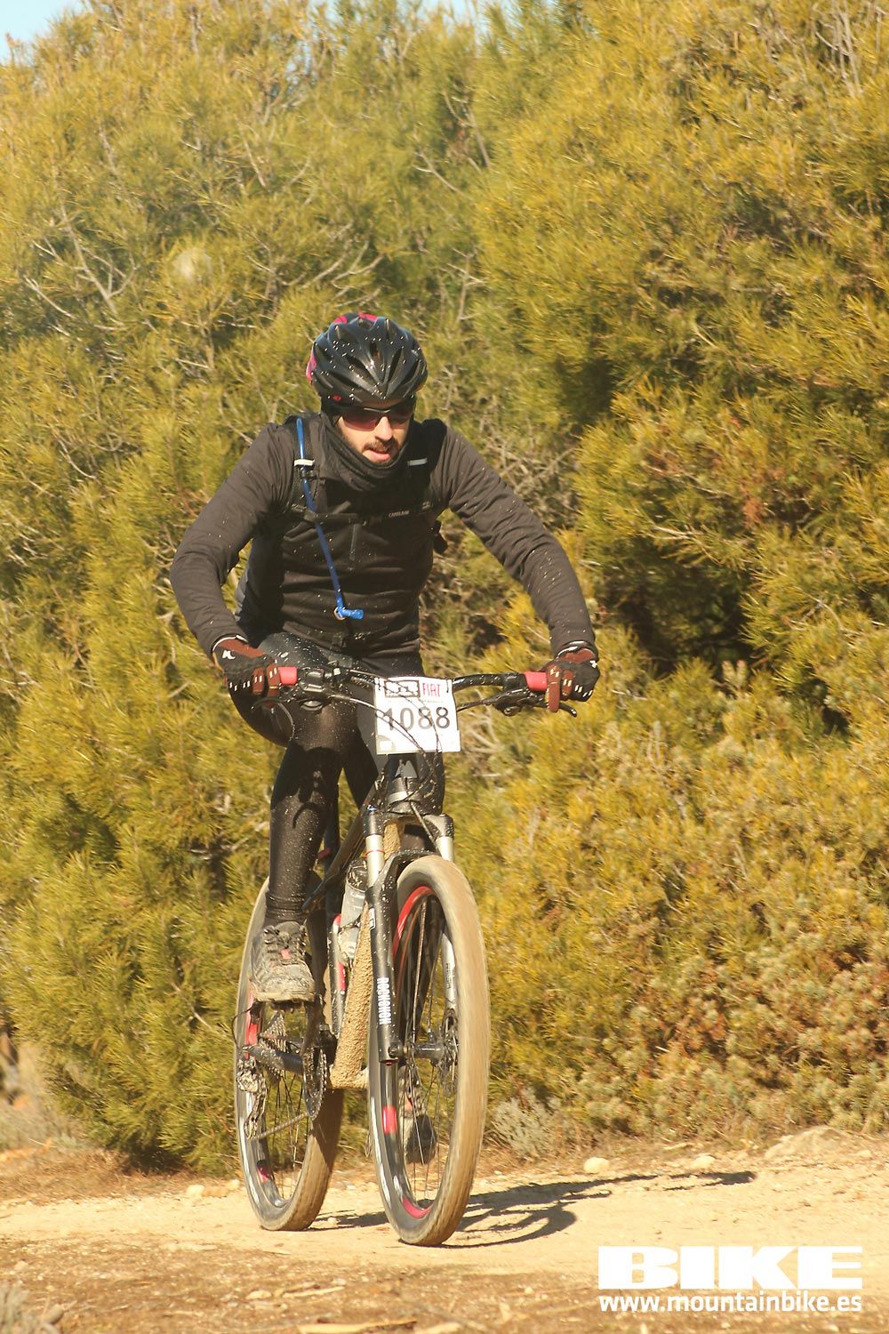 Valdemorillo 2015 Galeria 6