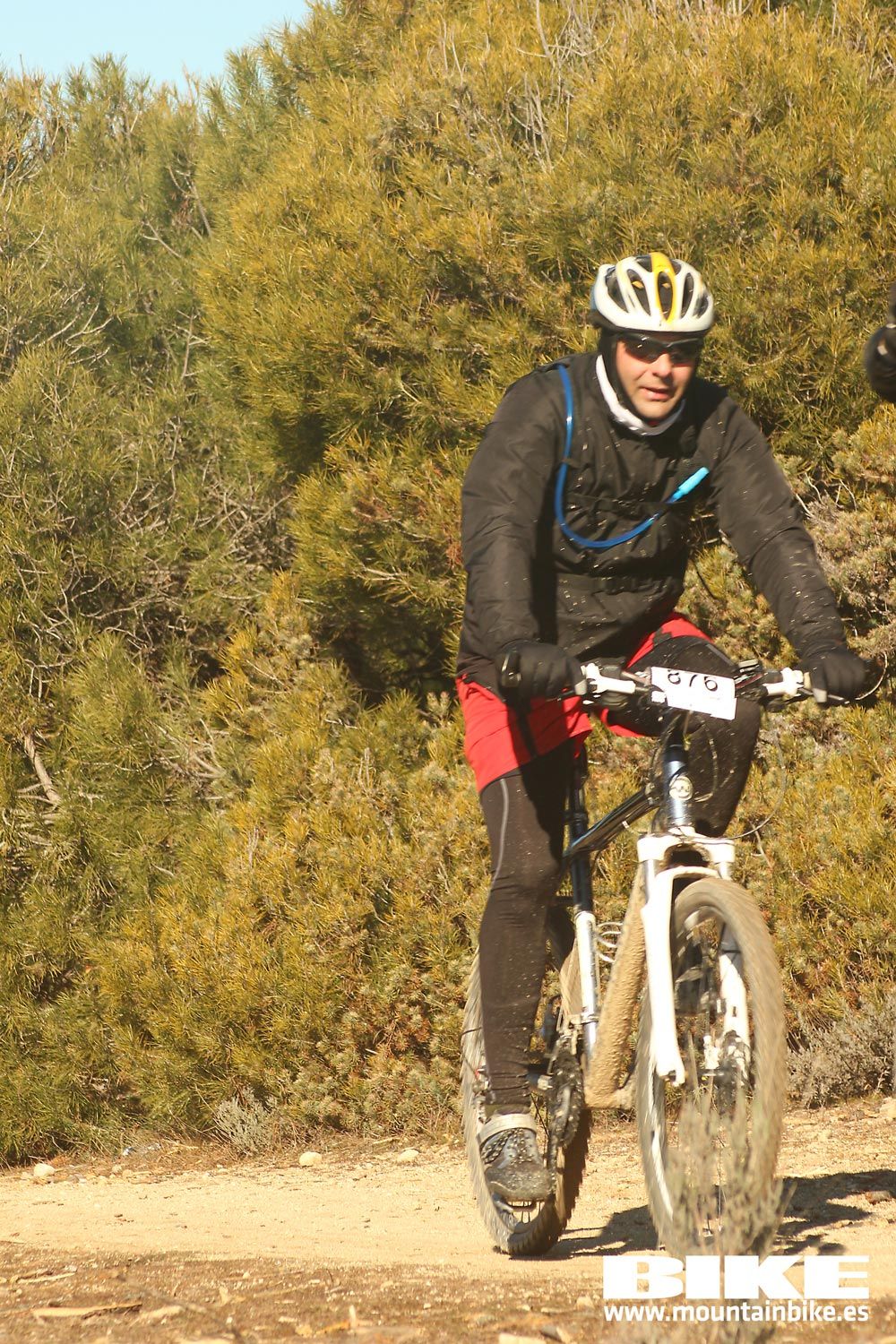 Valdemorillo 2015 Galeria 6