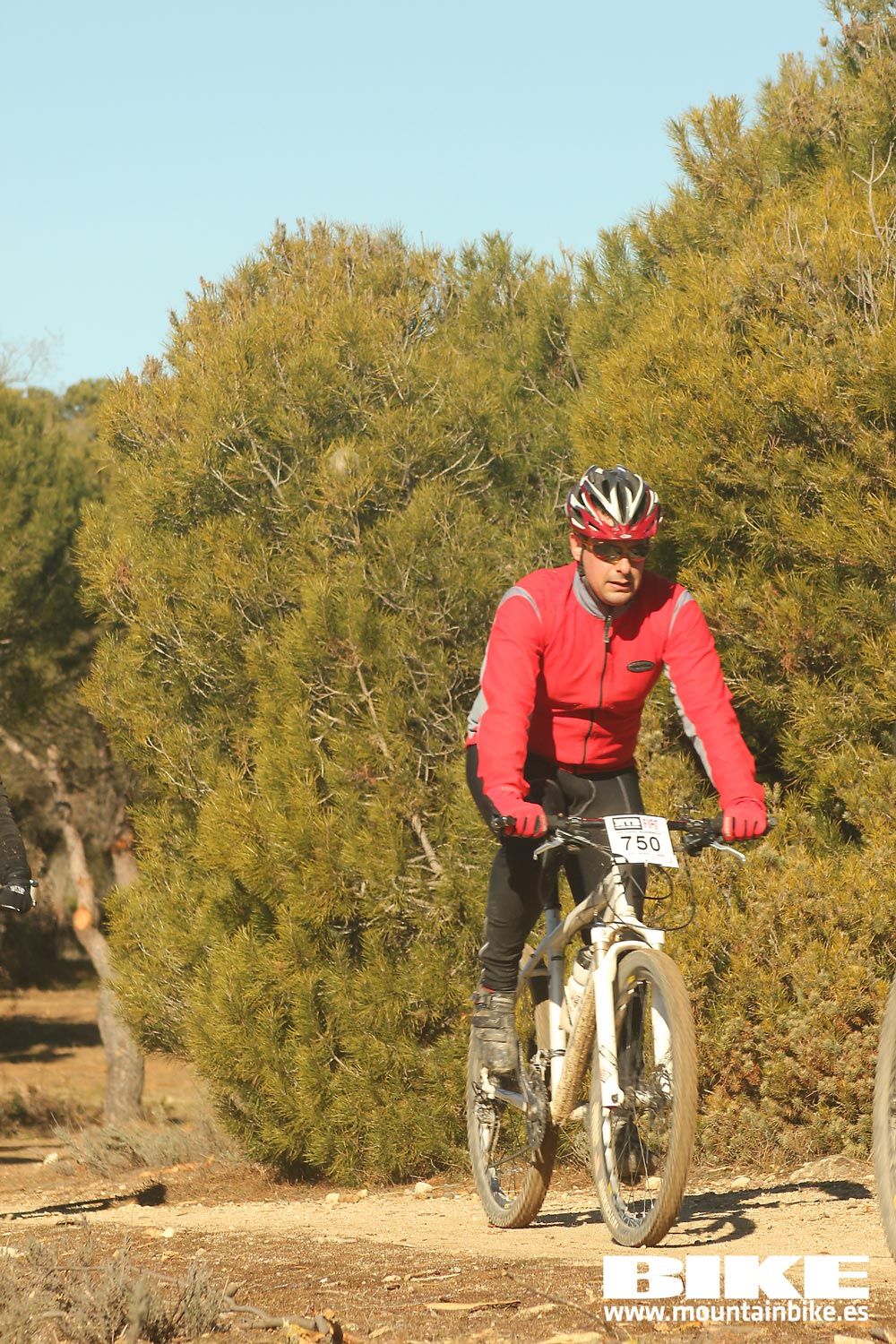 Valdemorillo 2015 Galeria 6