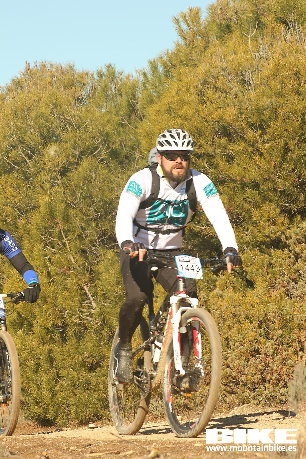 Valdemorillo 2015 Galeria 7