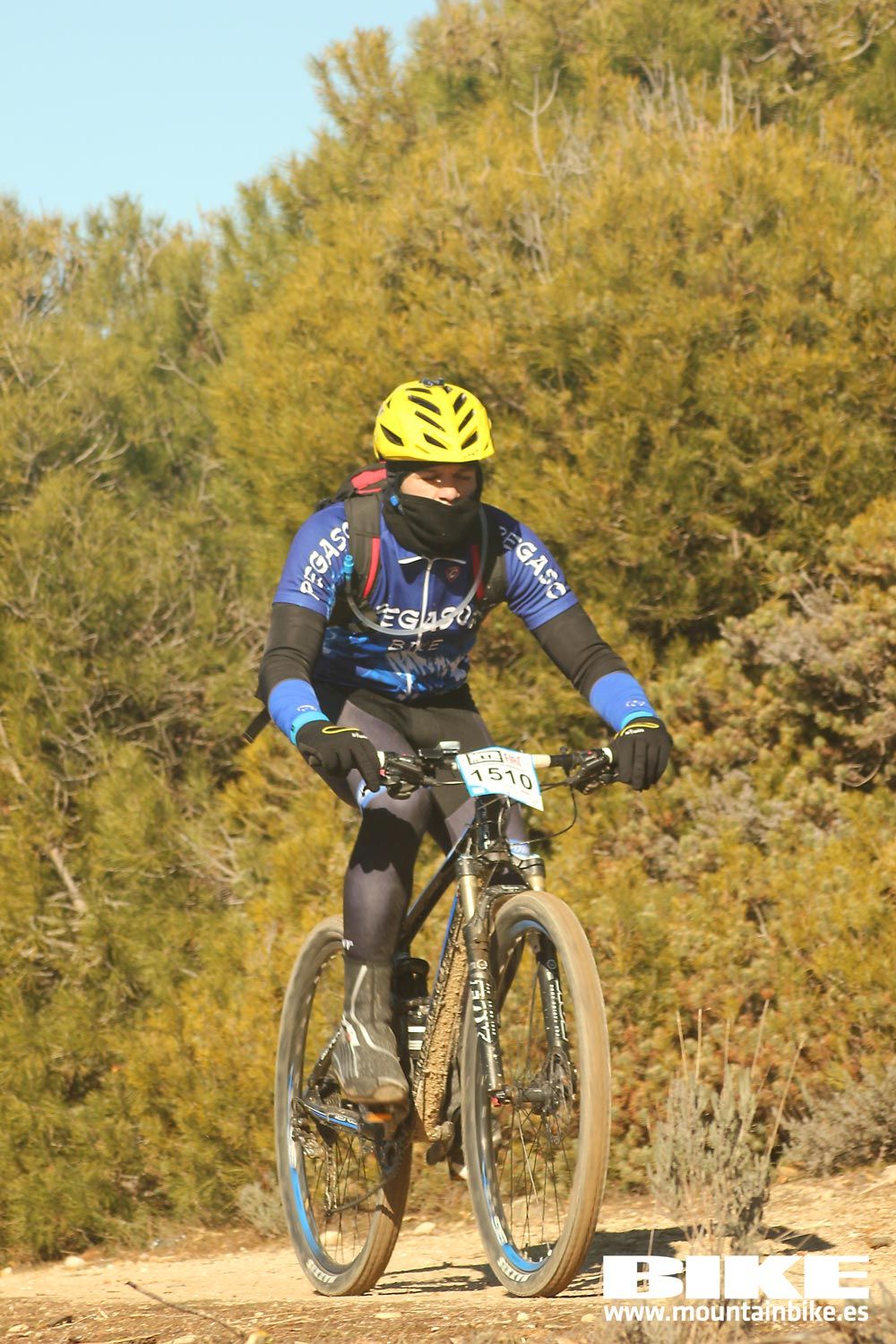 Valdemorillo 2015 Galeria 7