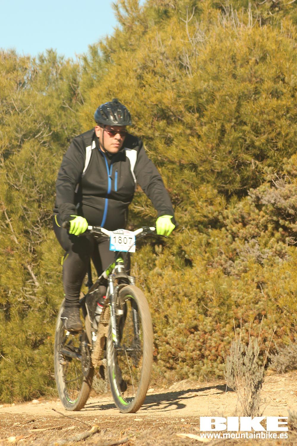 Valdemorillo 2015 Galeria 7
