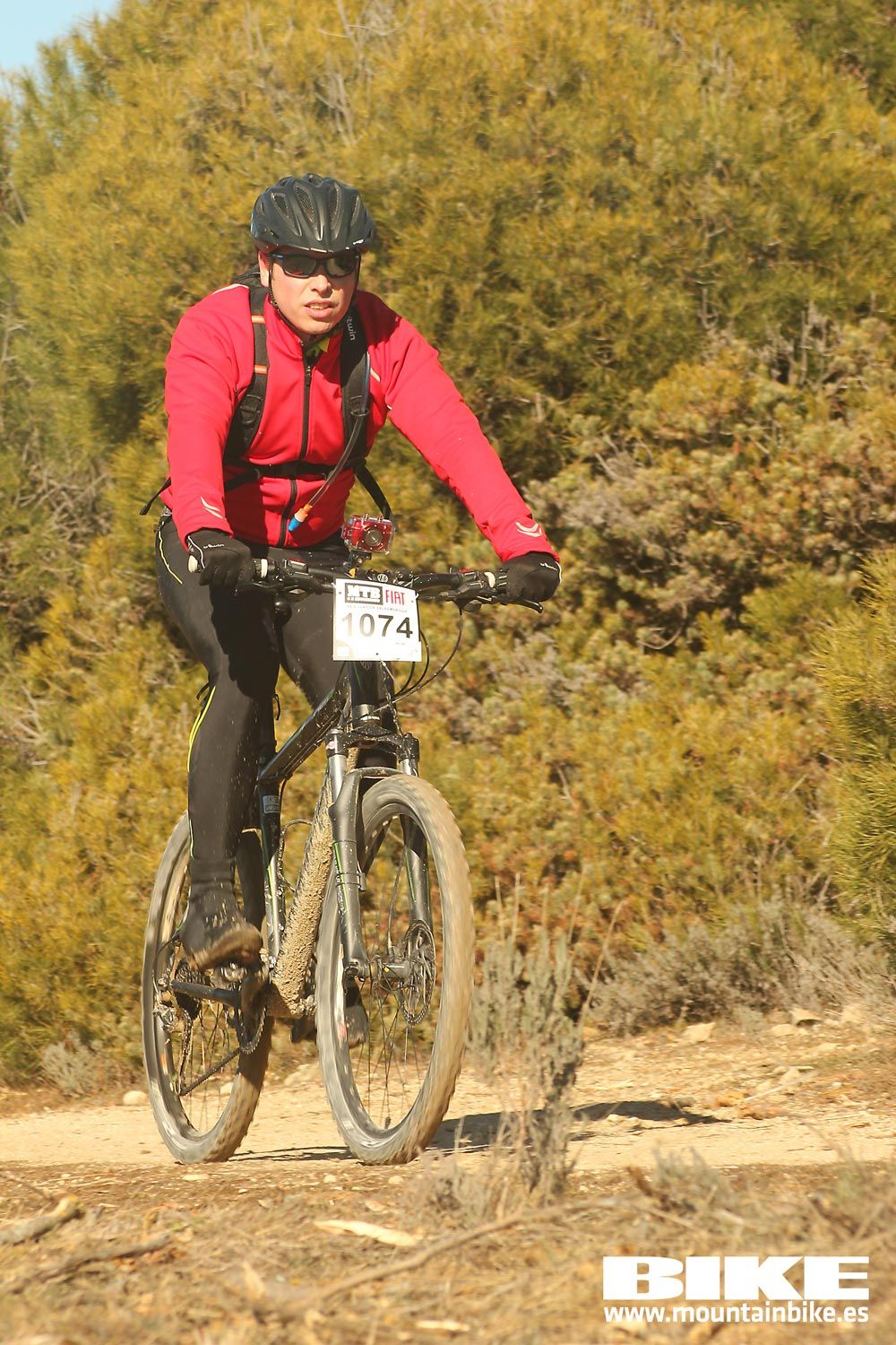 Valdemorillo 2015 Galeria 7