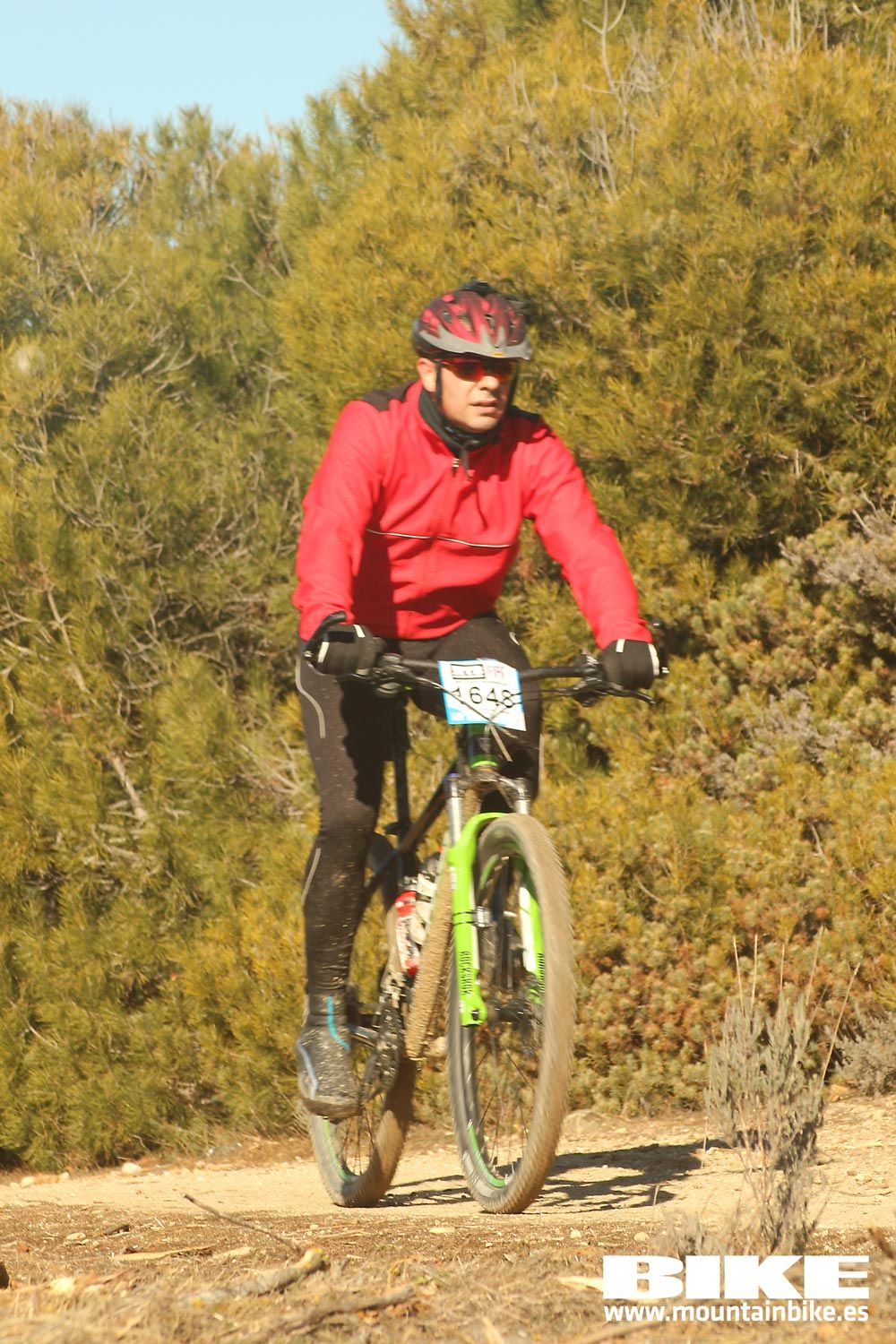 Valdemorillo 2015 Galeria 7