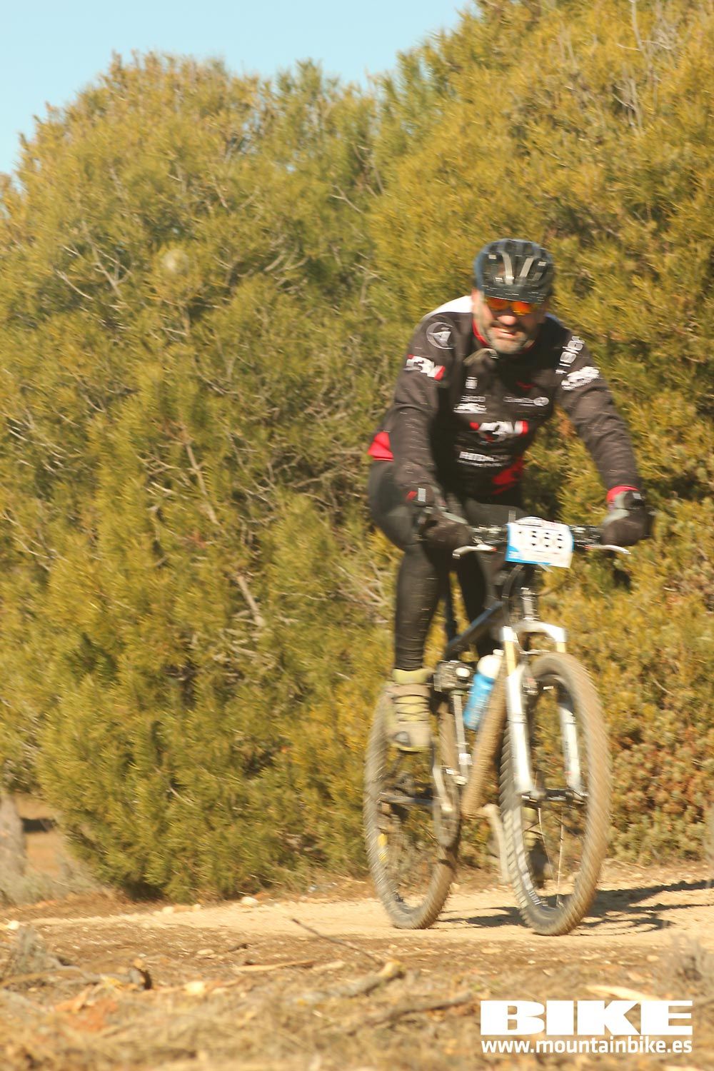 Valdemorillo 2015 Galeria 7