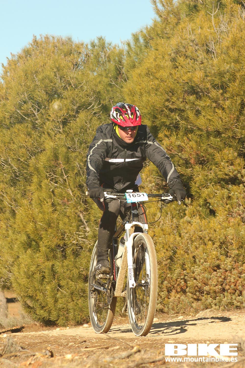 Valdemorillo 2015 Galeria 7