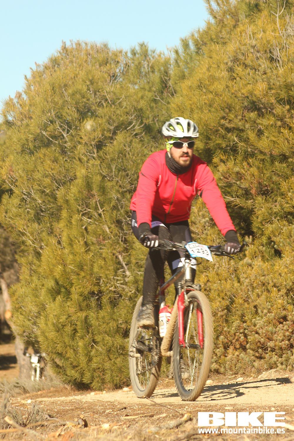Valdemorillo 2015 Galeria 7