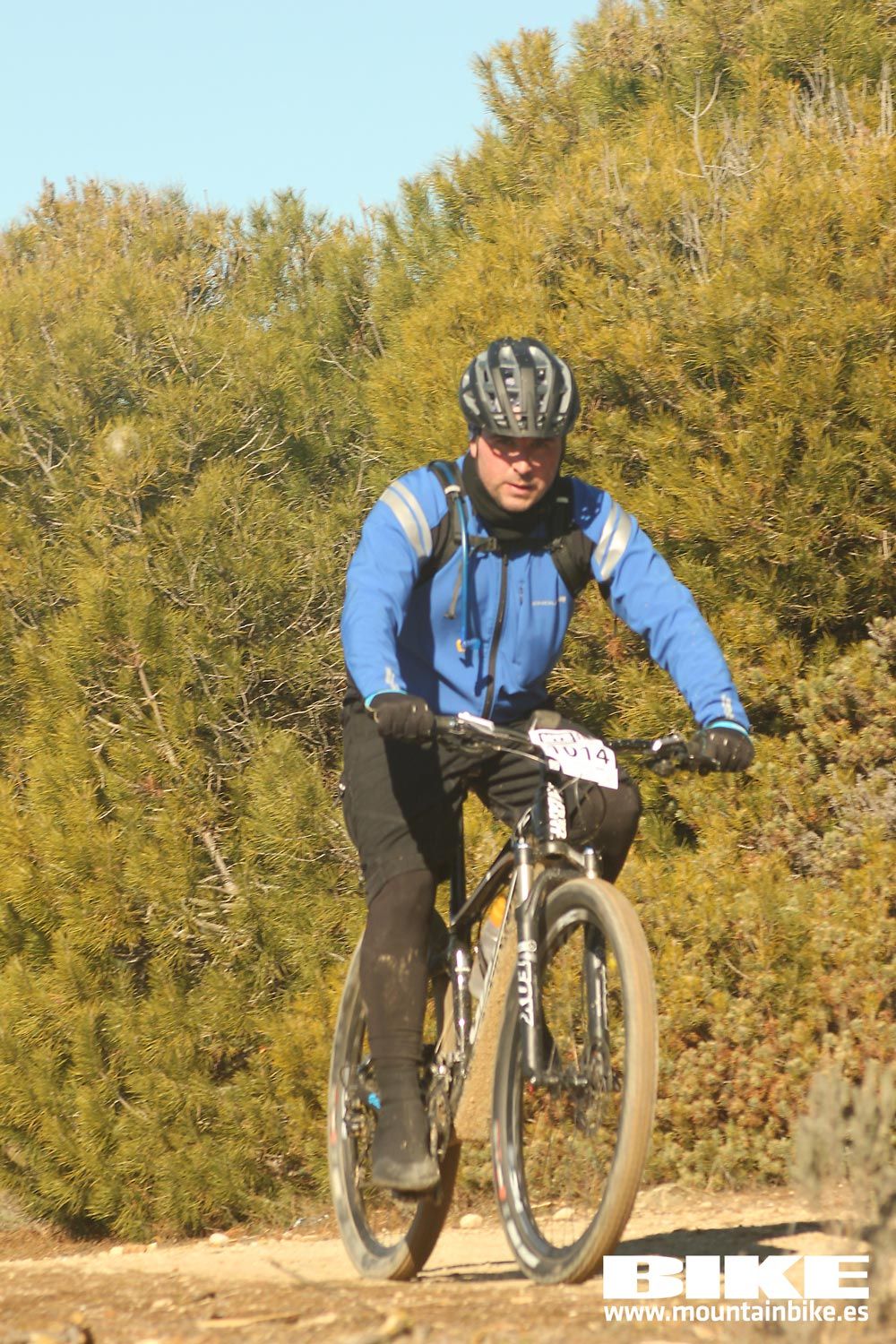 Valdemorillo 2015 Galeria 7