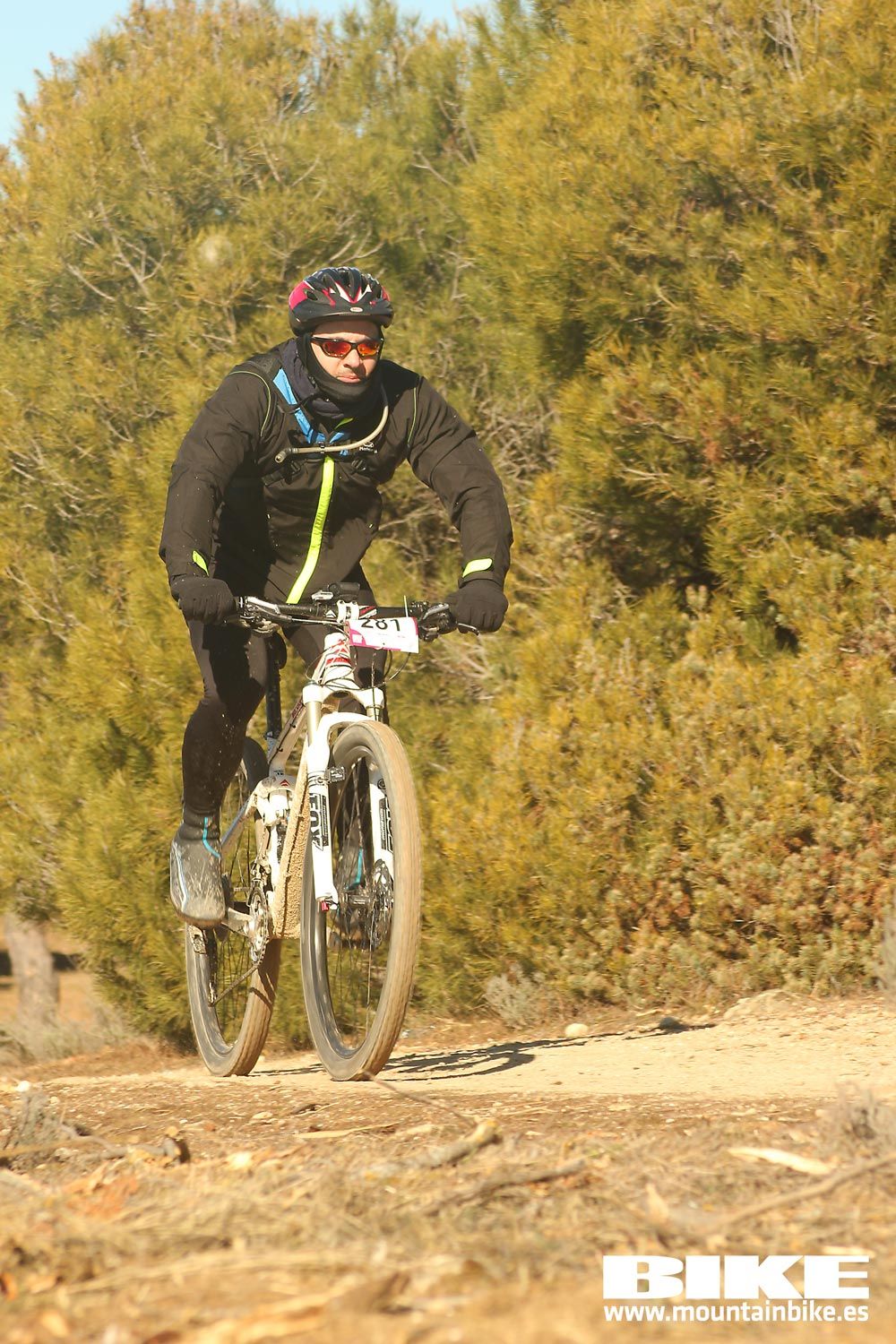 Valdemorillo 2015 Galeria 7