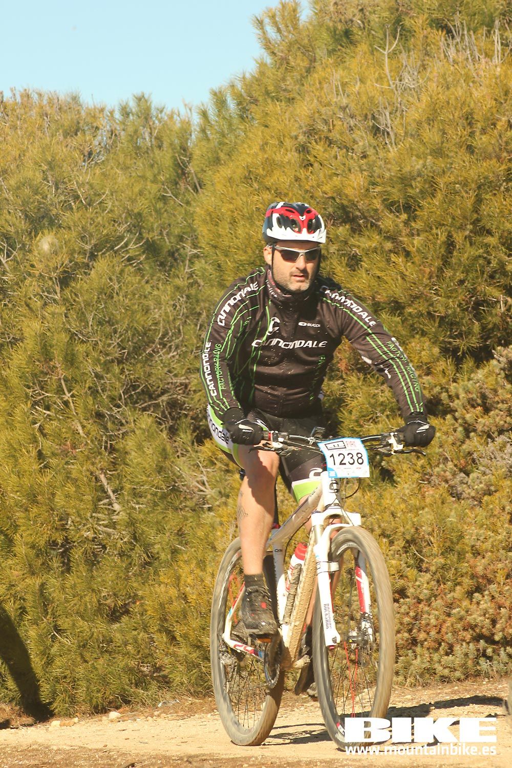 Valdemorillo 2015 Galeria 7