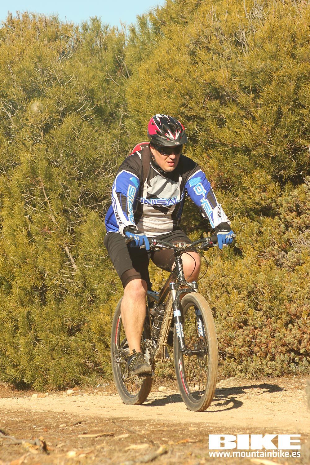 Valdemorillo 2015 Galeria 7