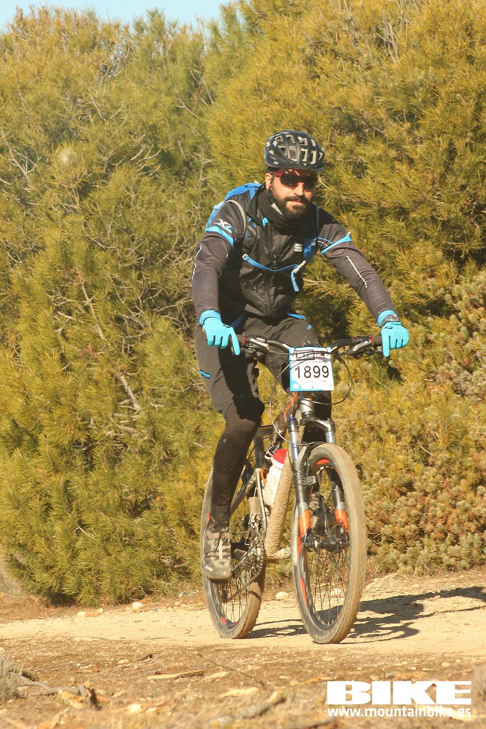 Valdemorillo 2015 Galeria 7