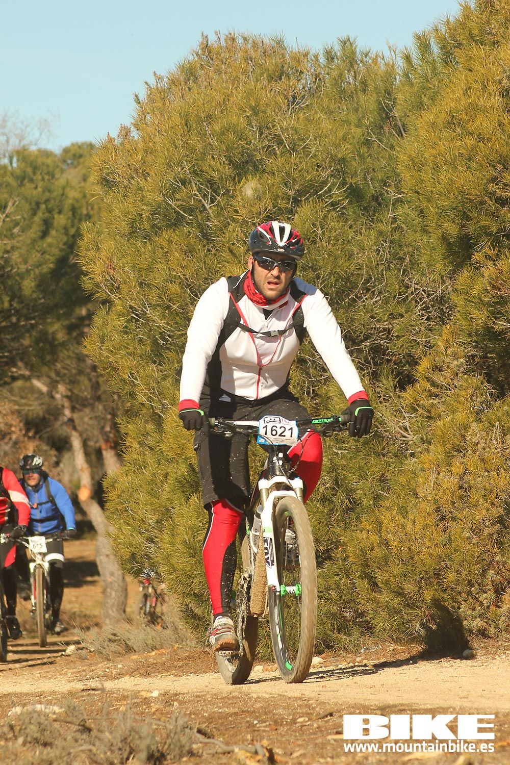 Valdemorillo 2015 Galeria 7