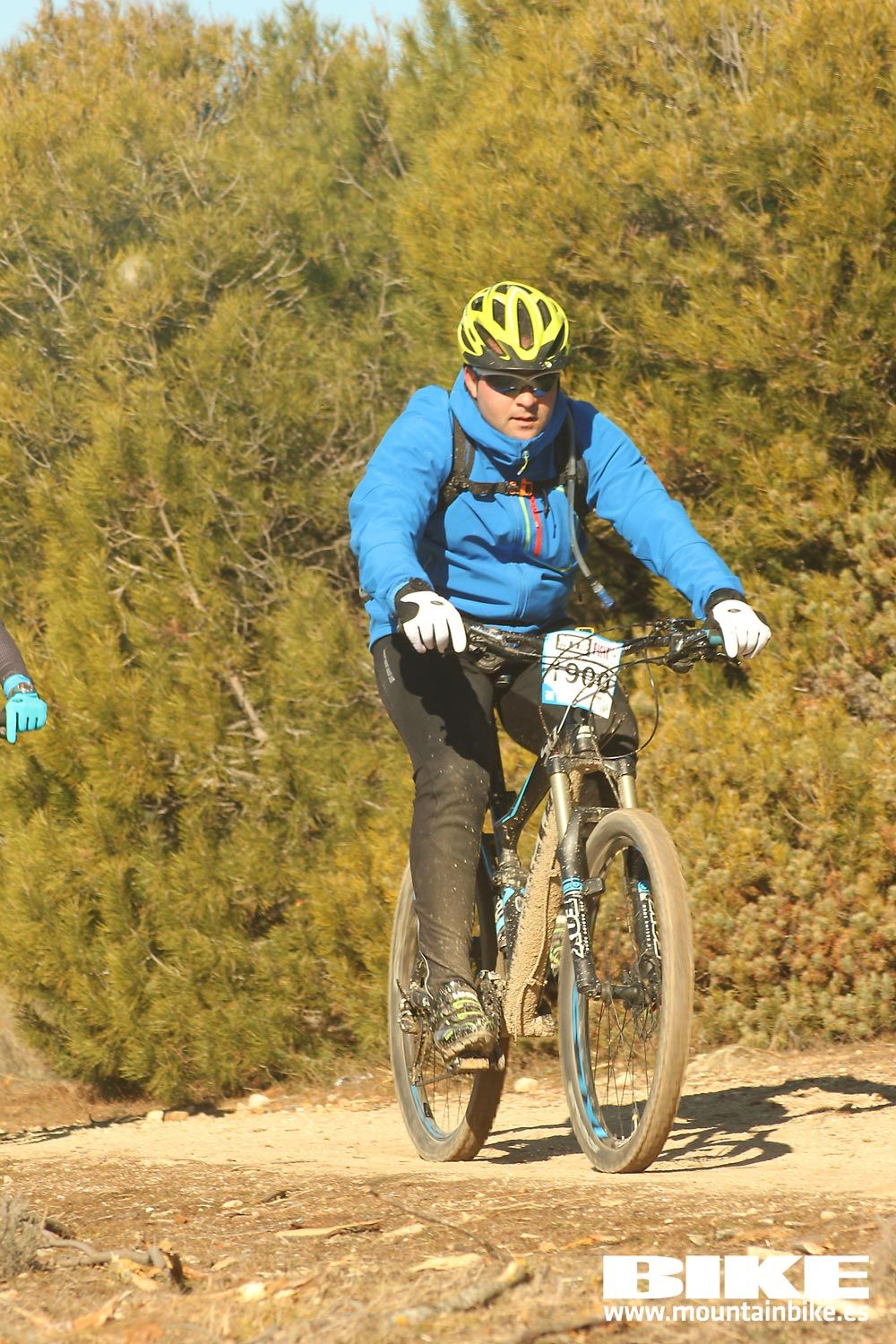 Valdemorillo 2015 Galeria 7