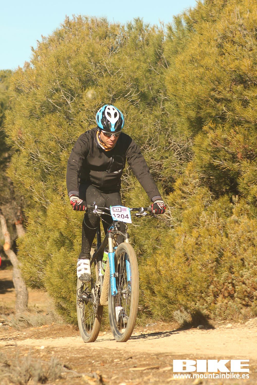 Valdemorillo 2015 Galeria 7
