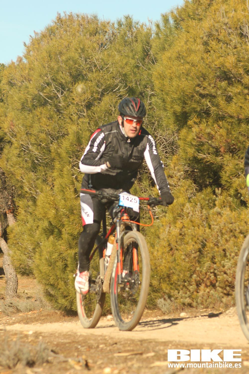 Valdemorillo 2015 Galeria 7
