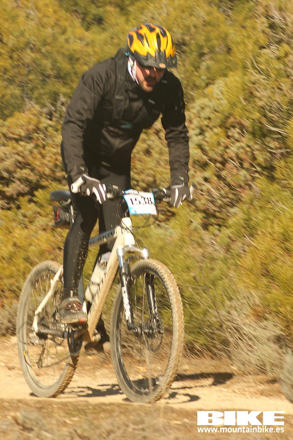 Valdemorillo 2015 Galeria 7