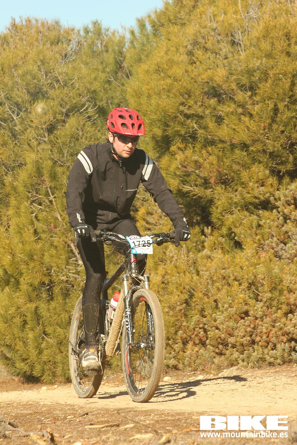 Valdemorillo 2015 Galeria 7